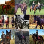 ein Bild aus dem Album