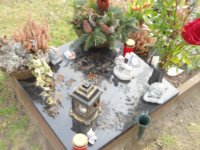 ein Bild aus dem Album